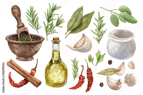 Vector hand drawn set with culinary herbs and spices. Sketch illustration. Watercolor set illustration