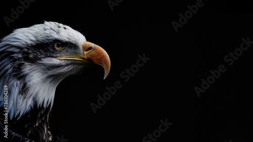 Captivating eagle with a bright beak and white feather detail set against a pure black backdrop, exuding character photo