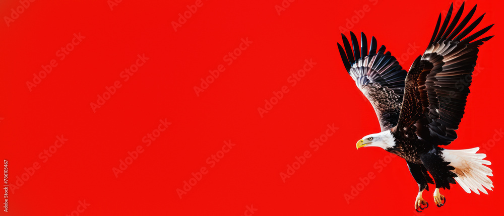 Fototapeta premium A striking image of a bald eagle caught mid-flight with powerful wing beats against a vibrant red background