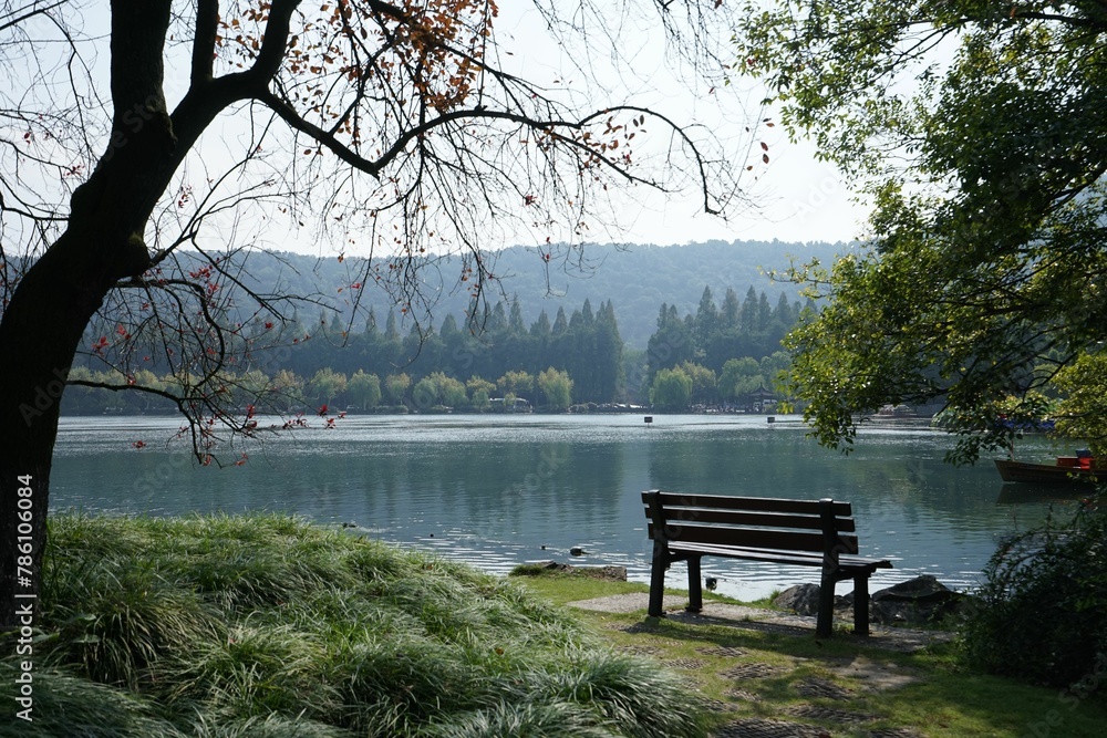 Scenic view of a bench on shore of a lake in a green park on a sunny day