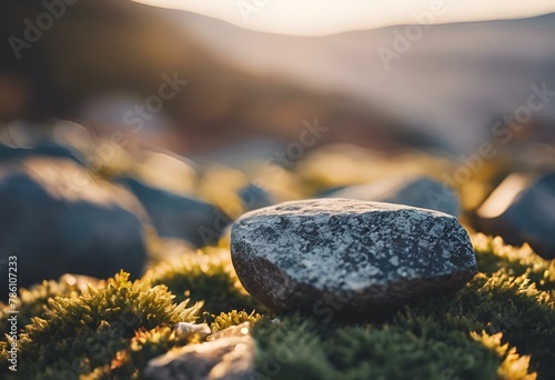 a rock sits atop green grass on top of it s mountain