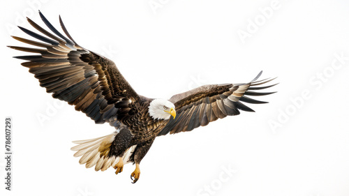 The image captures the essence of the bald eagle's power and freedom, showcasing its large wings and keen eyes mid-flight