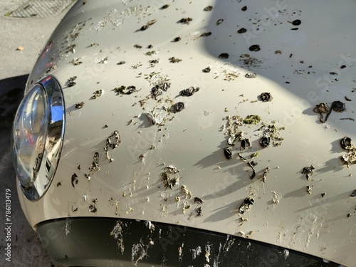 Photography Closeup shot of the guano of pigeons on the hood of a white car on a sunny day