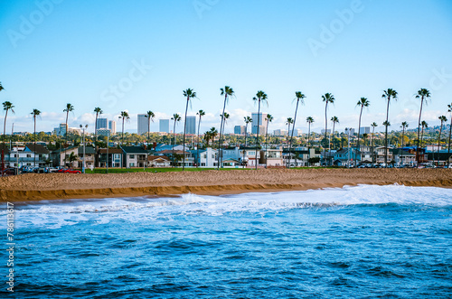Wallpaper Mural Sandy beach and the coastline with palm trees in Newport Beach in California on a sunny day Torontodigital.ca