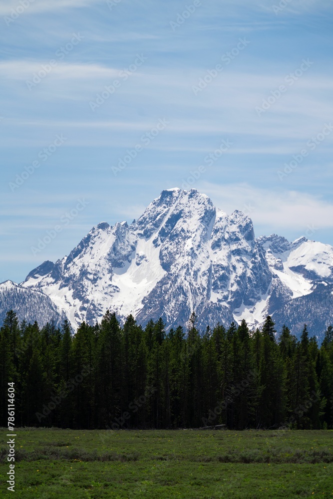 Vertical view of the beautiful snow capped peak of mount Moran and surrounding landscape in Wyoming