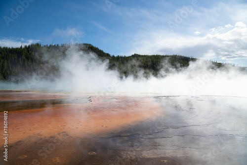 Closeup shot of a geyser filled with hot water near the forest