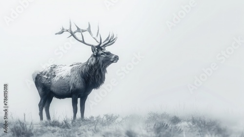 A majestic stag, antlers reaching towards the sky, against a backdrop of immaculate white, symbolizing the strength and beauty of the natural world.