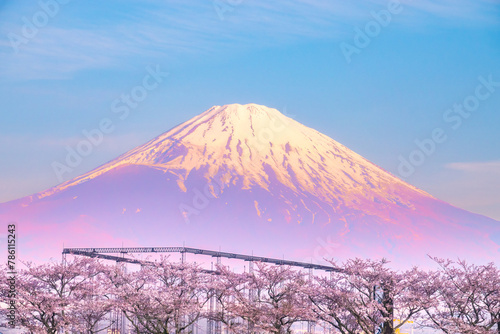静岡 富士山のお花見 御殿場 東山湖