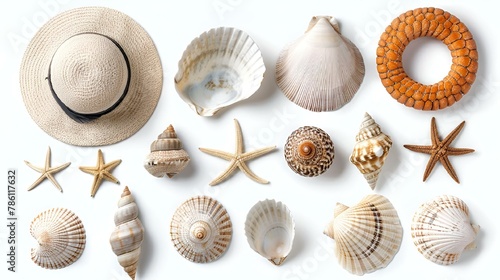 AI-generated illustration of assorted seashells and starfish on a white backdrop