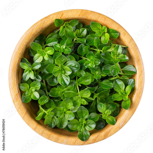 Fresh thyme leaves in wooden bowl isolated on white background. Top view.