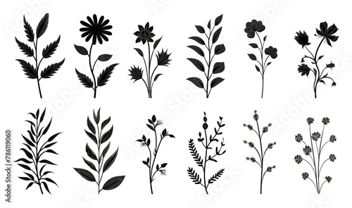 This elegant collection of hand-drawn botanical elements includes various types of leaves, flowers and plants in detailed