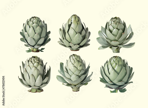 Illustration of a artichoke