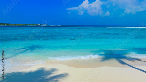 Summer palm tree and Tropical beach with blue of seashore background