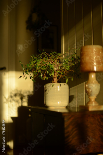 little table by a door, decorated with green plant and an antique lamp, seen in a golden sunset light	
