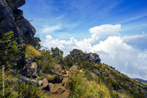 This is a path that must be followed to get to the top of the Sumbing mountains in Central Java, Indonesia photo