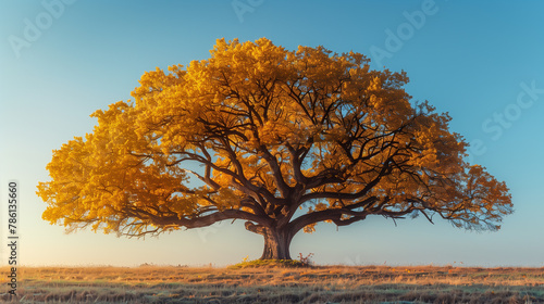 A lone yellow tree  ablaze with fall colors  stands out majestically against a vast