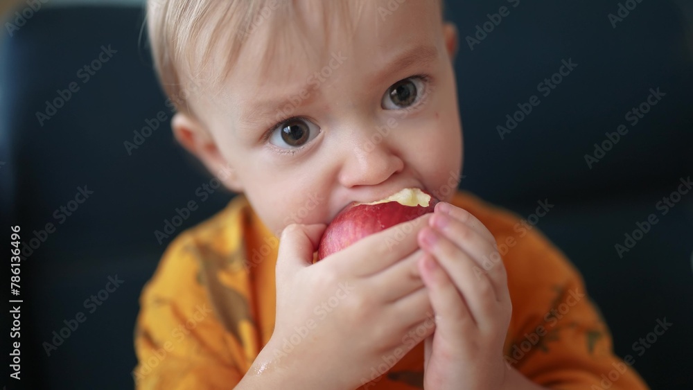 baby boy eating an apple. healthy a eating kid dream concept. baby sitting on the sofa eating an apple. close-up baby son eating an apple at home lifestyle baby boy eating an apple. healthy a eating kid dream concept. baby sitting on the sofa eating an apple. close-up baby son eating an apple at home lifestyle