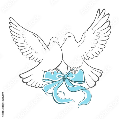 Two doves igeons in flight hold a blue ribbon bow. Wedding, invitation