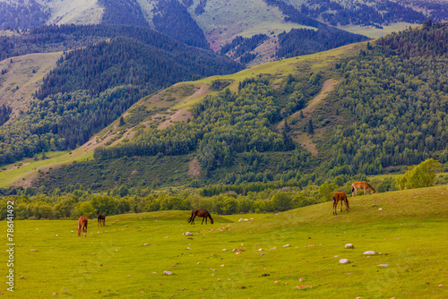Horses peacefully graze in a grassy field surrounded by majestic green mountains, creating a picturesque natural landscape. © lucky pics