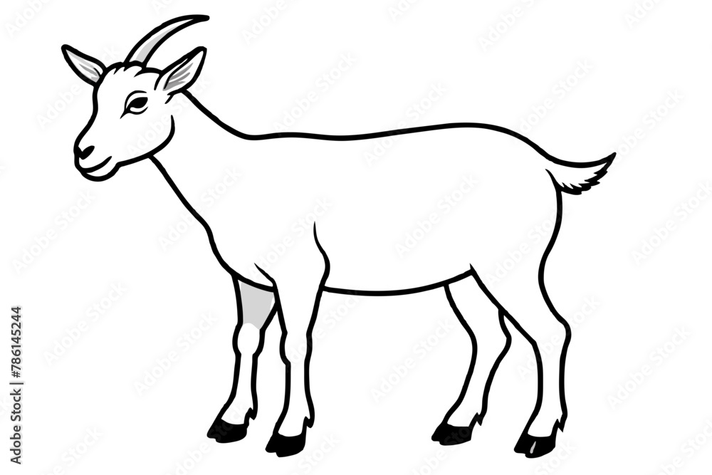 Fototapeta premium goat line art vector illustration