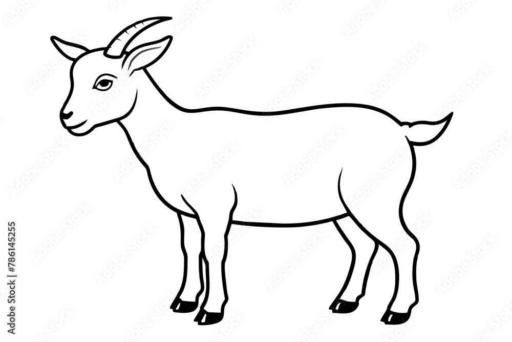 goat line art vector illustration 