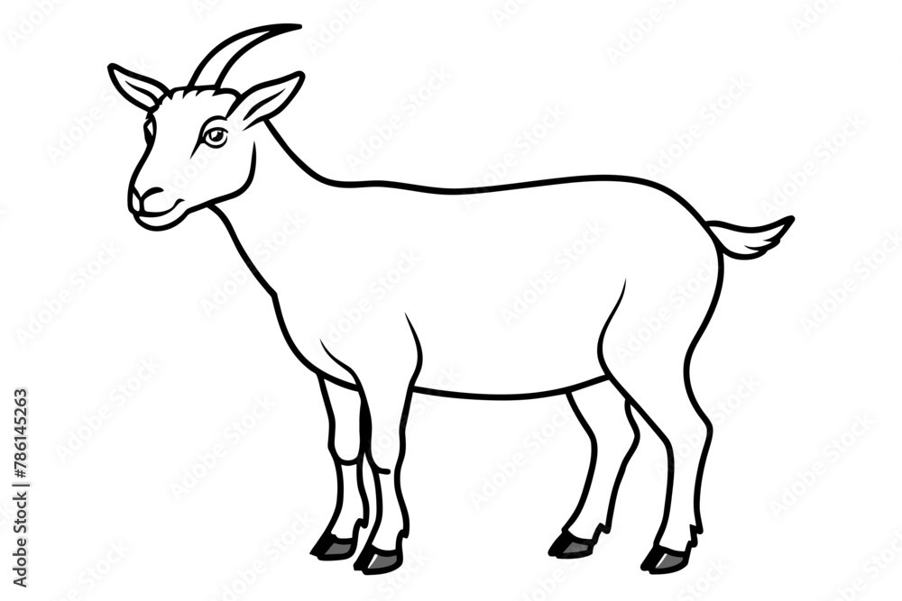 goat line art vector illustration goat line art vector illustration