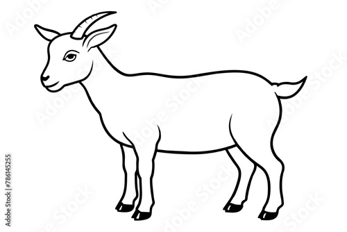 goat line art vector illustration 