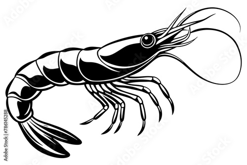 shrimp vector silhouette 