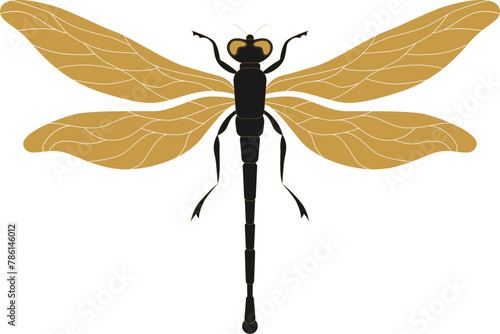 Mystic outline dragonfly. Celestial golden insect and frame with stars, moon phases, crescents, arrows. Ornate shiny magical linear dragonfly