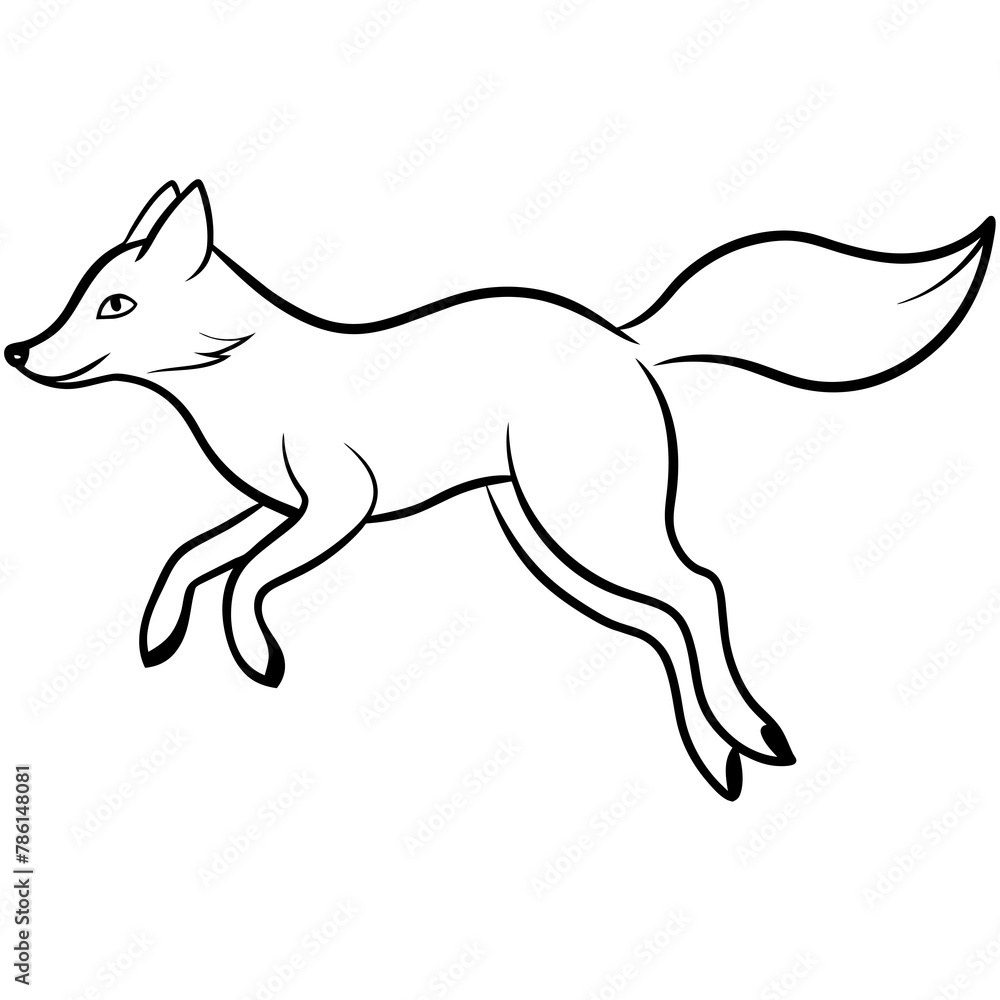 illustration of a fox illustration of a fox