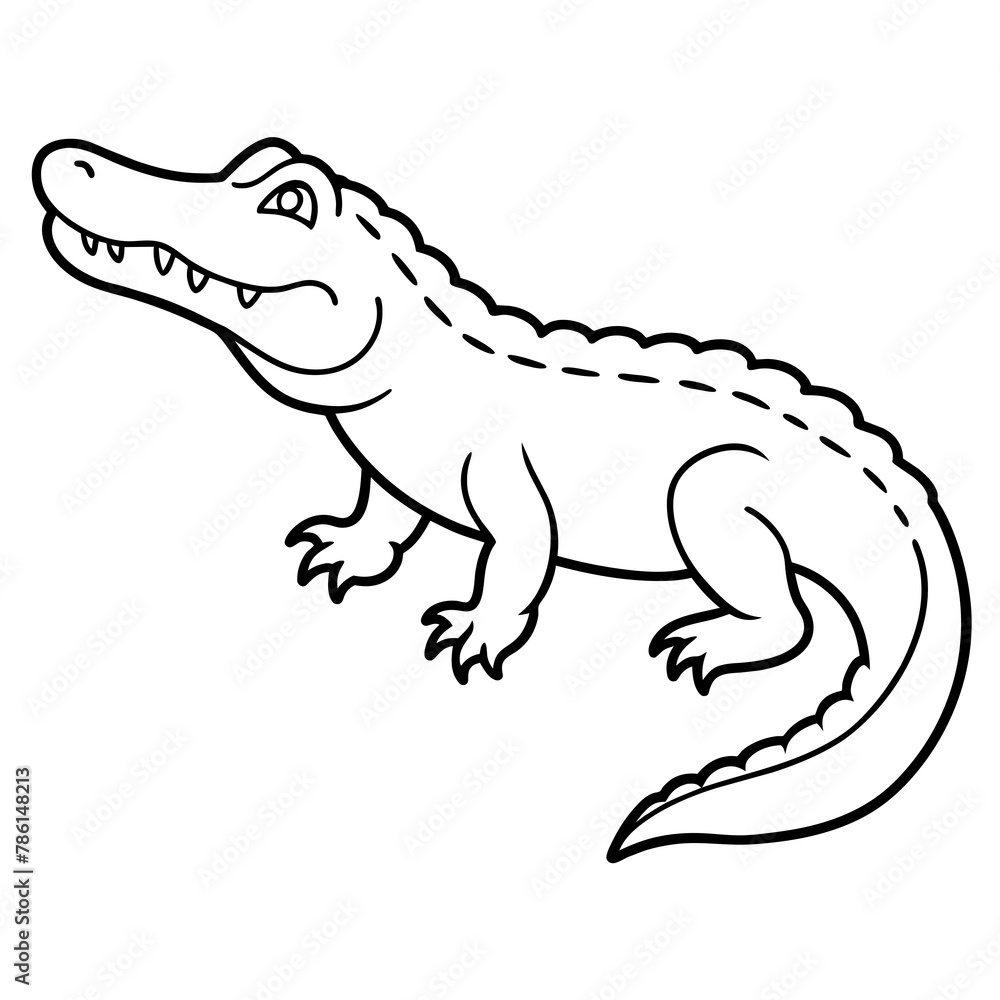 illustration of a crocodile illustration of a crocodile