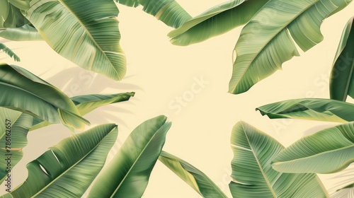 Banana leaves sourced from nature on a soft colored backdrop with editable paths