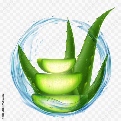 Aloe Vera plant with splashes of juice or water. isolated on a transparent background. Vector stock illustration