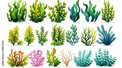 Animated set of seaweed isolated on white background. Illustration of underwater plants and corals. Modern illustration of aquatic bottom design elements in green, pink, yellow, blue colors. photo