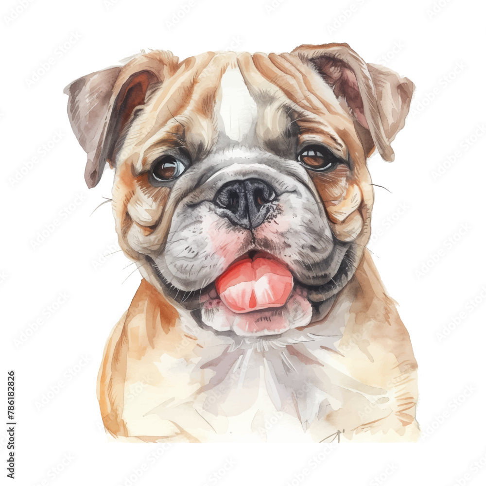 bulldog dog watercolor good quality and good design bulldog dog watercolor good quality and good design
