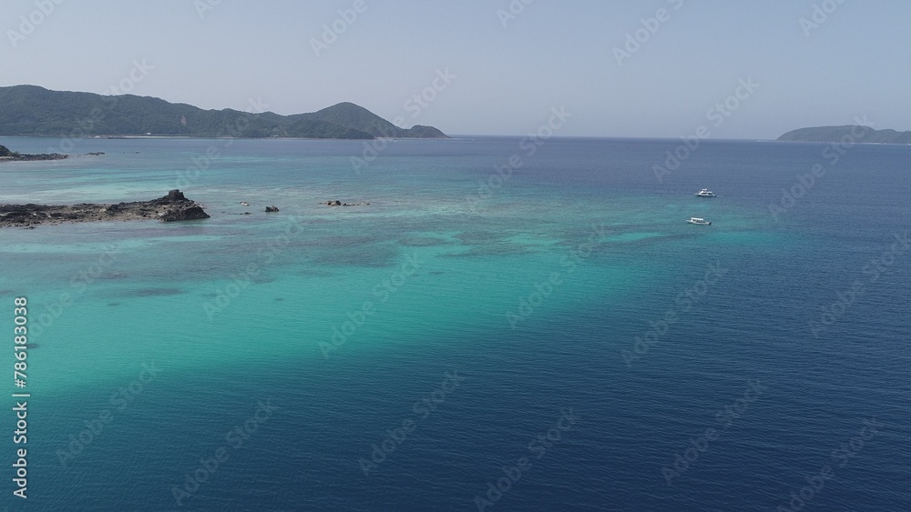 Fototapeta premium 奄美の自然