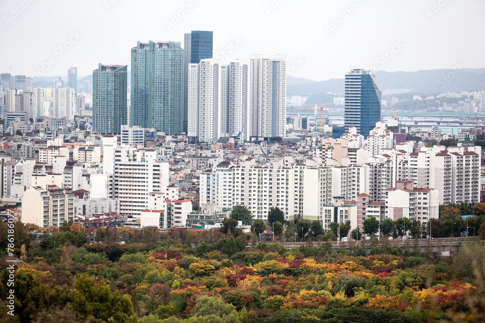 Fototapeta premium View of the skyscrapers in the city