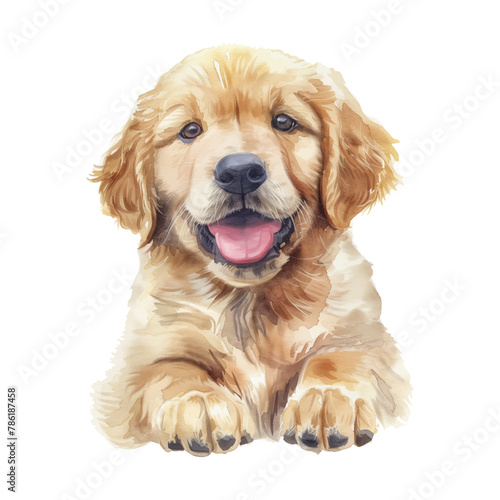 Golden Retriever dog watercolor good quality and good design