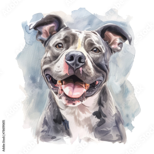 Pitbull dog watercolor good quality and good design