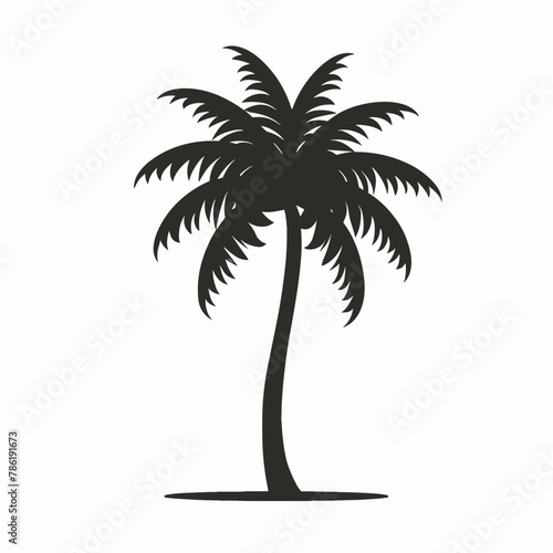 palm tree isolated on white