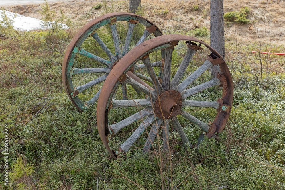 Old wooden horse cart wheels lie in forest. Old wooden horse cart wheels lie in forest.