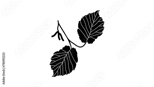 Hazel leaf  , black isolated silhouette