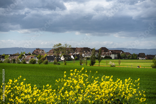 Frankenhöhe in Mainz Hechtsheim, April 2024