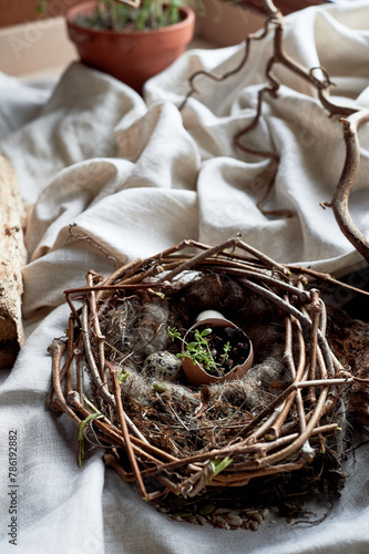 A bird nest made of twigs, grass, and natural materials, with a broken egg inside. The nest is built on the ground using soil, wood, and terrestrial plants