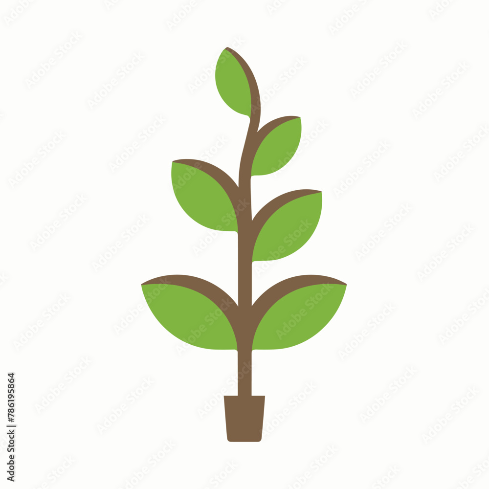 Fototapeta premium green plant isolated on white