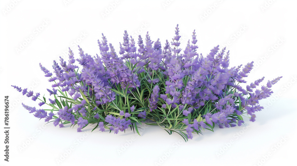 Fototapeta premium Lavender Elegance: Bouquet on Pure White Background