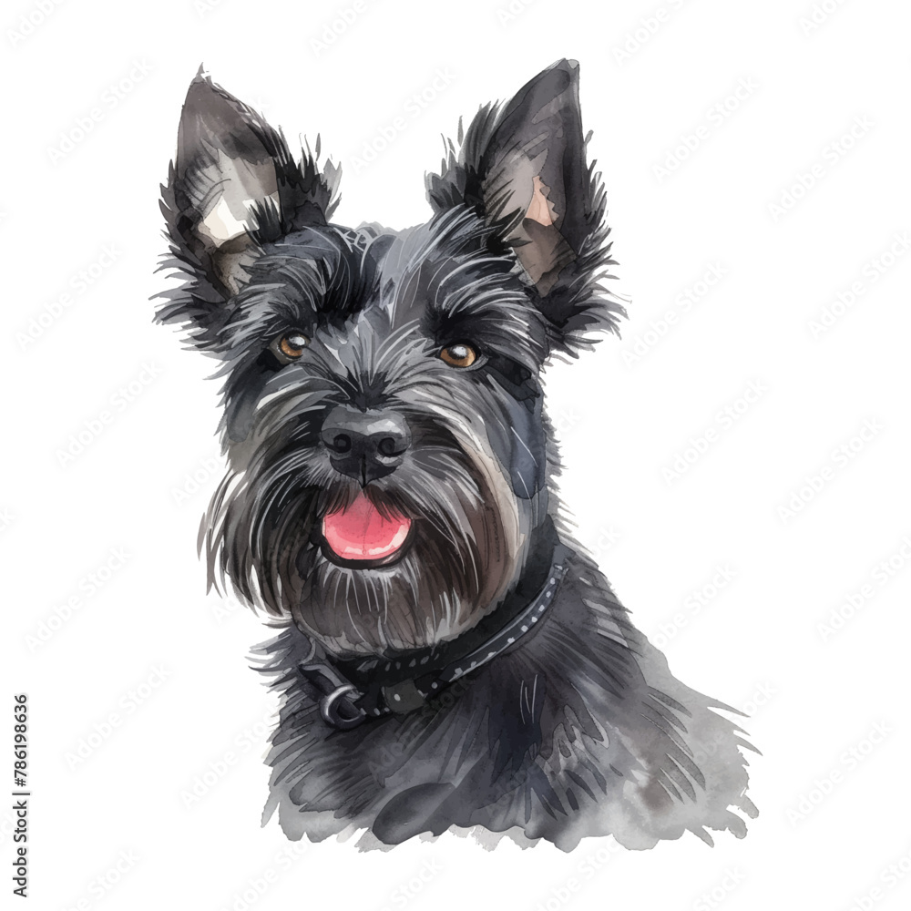 Scottish Terrier dog watercolor good quality and good design