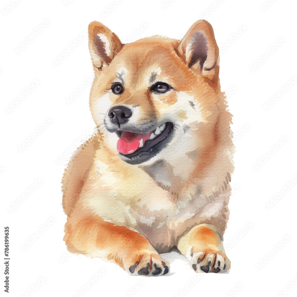 shiba inu dog watercolor good quality and good design shiba inu dog watercolor good quality and good design