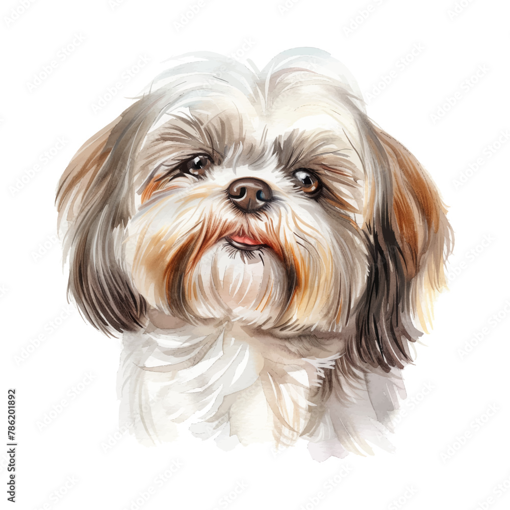 Shih Tzu dog watercolor good quality and good design Shih Tzu dog watercolor good quality and good design