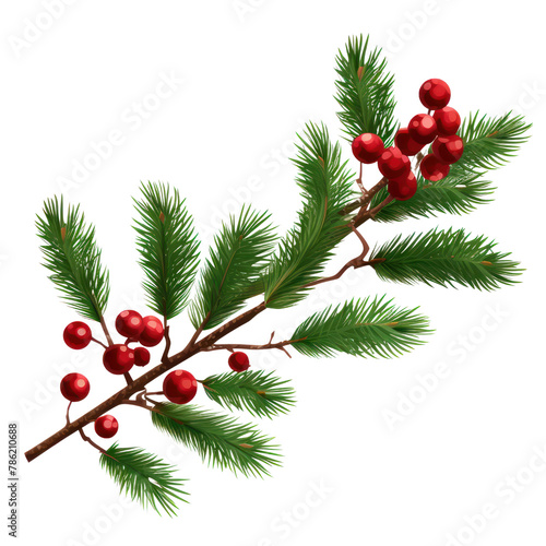 Pine tree branch border realistic vector illustration. Fir twigs with green needles